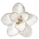 006_flower emote