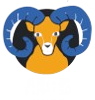 baran emote