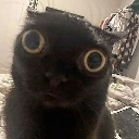 wha emote
