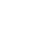 4l12 Emote