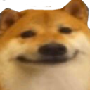 dogesmug Emote
