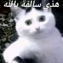 emoji_11 Emote