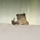 Froggo_FU emote