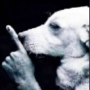 Shhhh emote