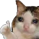 emoji_27 emote