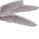 373369benotafraid3 emote