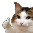 okcat emote