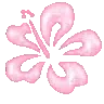 a_hawaii emote