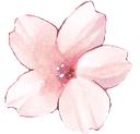 2_flowerpink Emote