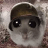 68986soldierhamster emote