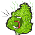 bud_scream Emote