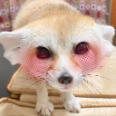 Blushnies emote