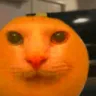 cannyorange emote
