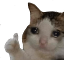 Meme_Sad_Cat_Thumbs_Up Emote