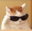 cool Emote