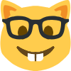 nerdyahhcat emote