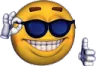 7400coolyes emote