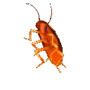 PartyDanceJumproach emote