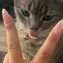 catlick emote