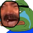 8848pepe24 Emote