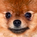 0_TeddyStare emote