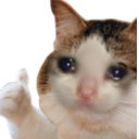 ok Emote