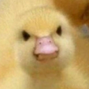emoji_182 emote