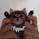 Yippie emote