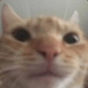 kedy Emote