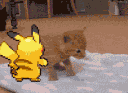 bullypikachu emote