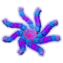 octobloom Emote