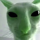 aliencat emote