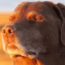 emoji_19 Emote