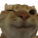 Wink emote