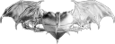 angel_punk Emote