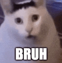 broo emote