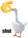 FW_goose emote