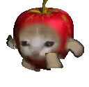 sad_cat_running Emote