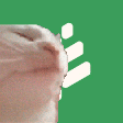 grovecatjam emote