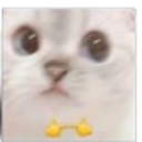 catoshy emote
