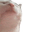 catjamhaha emote