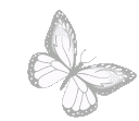 whitebutterfly emote