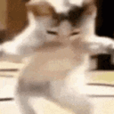 emoji_303 emote