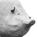 bimba emote