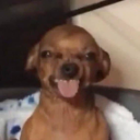 Biteme emote