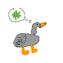 stonedgreygoose Emote