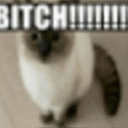 Bitch emote