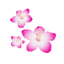 emoji_23 emote