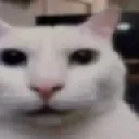 noway Emote