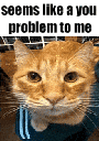 62828youproblem emote